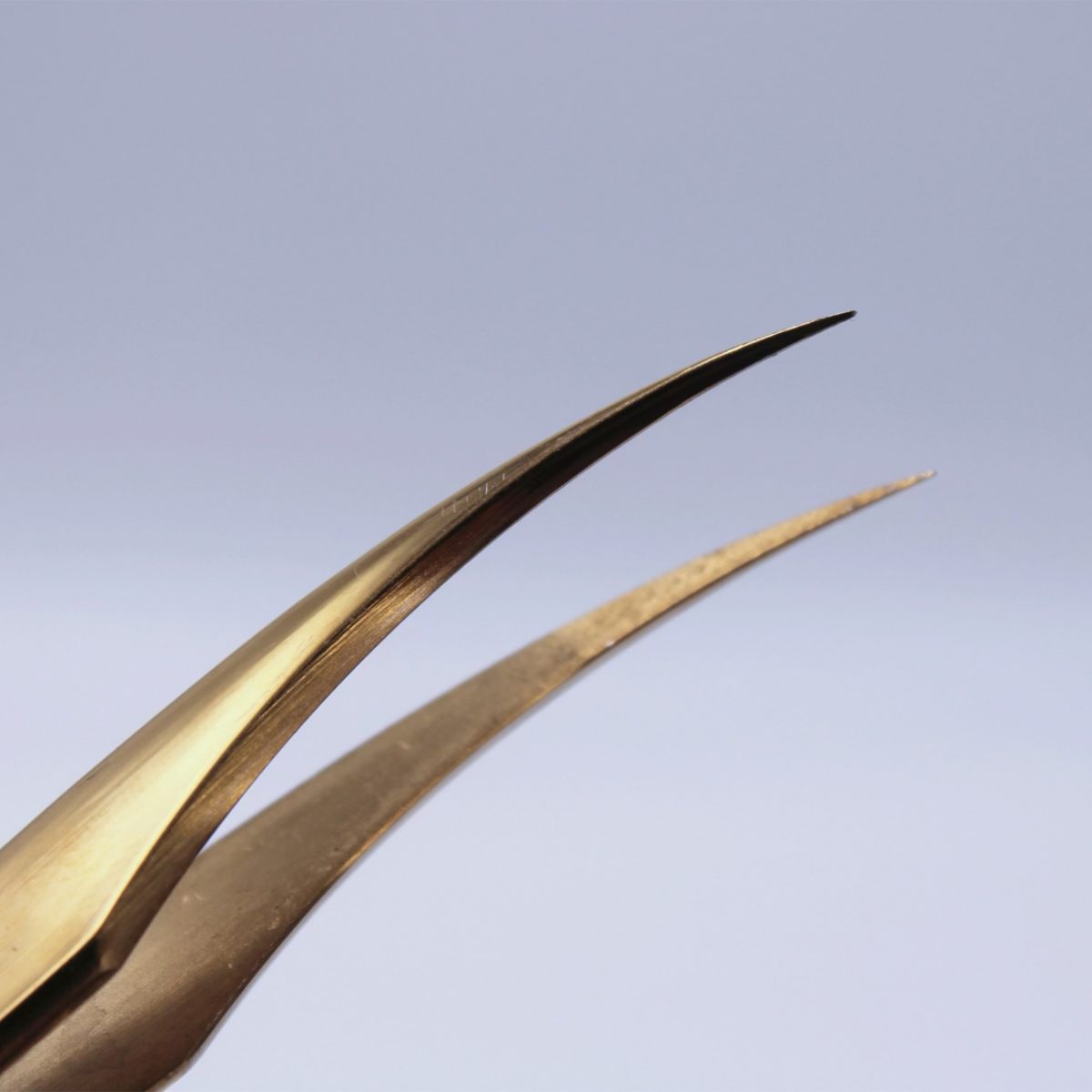 Isolation Gold Curved Tweezer